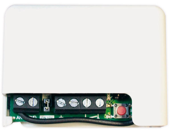 5291 - RECEPTOR RF BASIC-MINI 12-24V