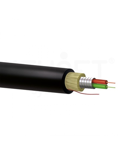 [F60M-02A-P-D1LN-BR] Cable FO 2fo F60M-02A-P-D1LN-BR