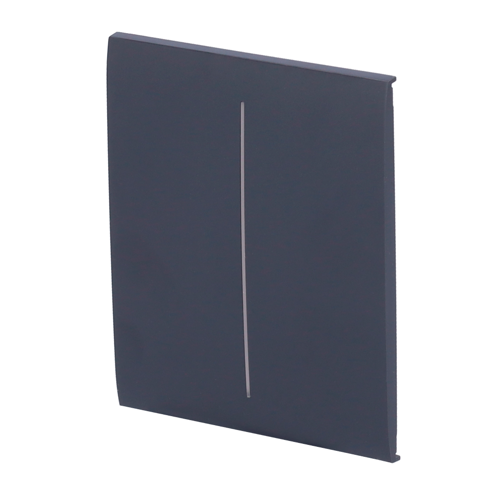 Panel táctil para interruptor de luz doble AJAX - AJ-CENTERBUTTON-2G-GRA