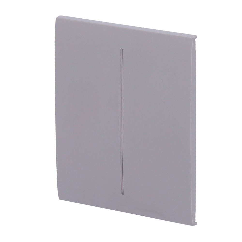 Panel táctil para interruptor de luz doble AJAX - AJ-CENTERBUTTON-2G-GRE