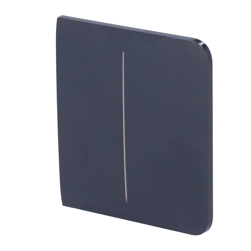 Panel táctil para interruptor de luz doble AJAX - AJ-SIDEBUTTON-2G-GRA