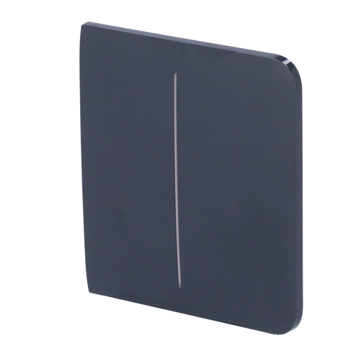 [AJ-SIDEBUTTON-2G-GRA] Panel táctil para interruptor de luz doble AJAX - AJ-SIDEBUTTON-2G-GRA