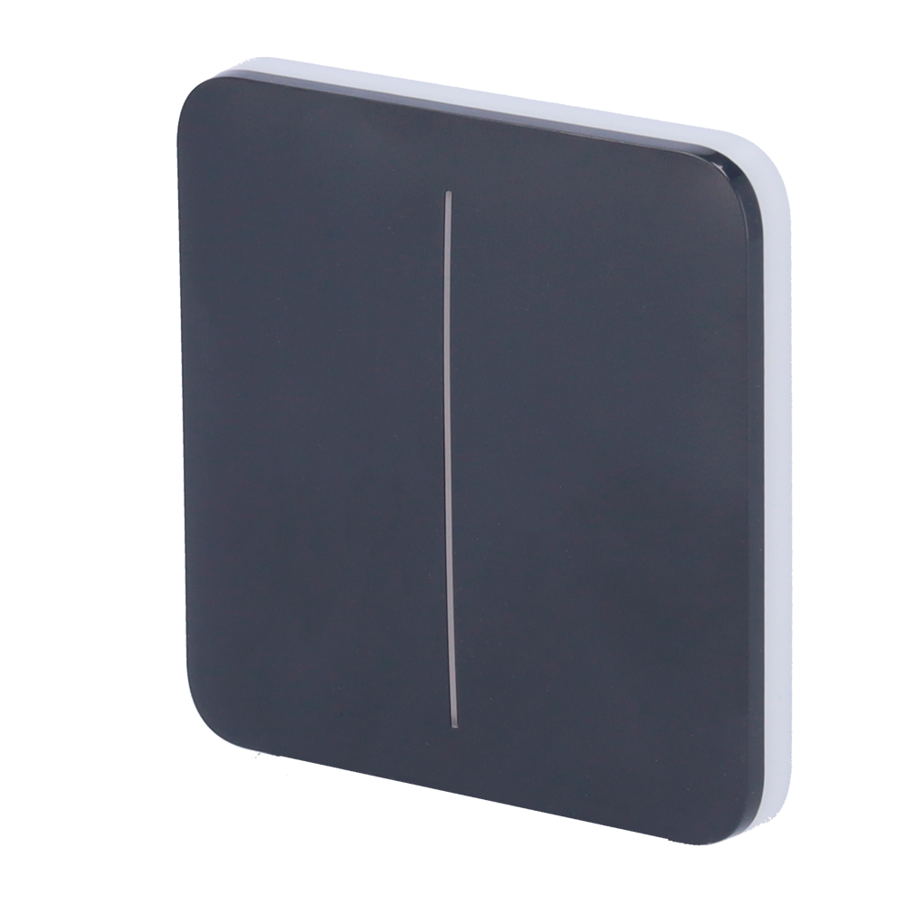 Panel táctil para interruptor de luz doble AJAX - AJ-SOLOBUTTON-2G-GRA