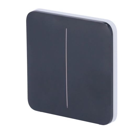 [AJ-SOLOBUTTON-2G-GRA] Panel táctil para interruptor de luz doble AJAX - AJ-SOLOBUTTON-2G-GRA
