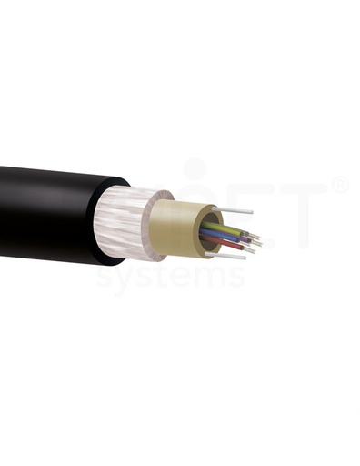 [F14-G24TA-6T4-D1Lb2M] Cable FO 24fo F14-G24TA-6T4-D1Lb2M Riser