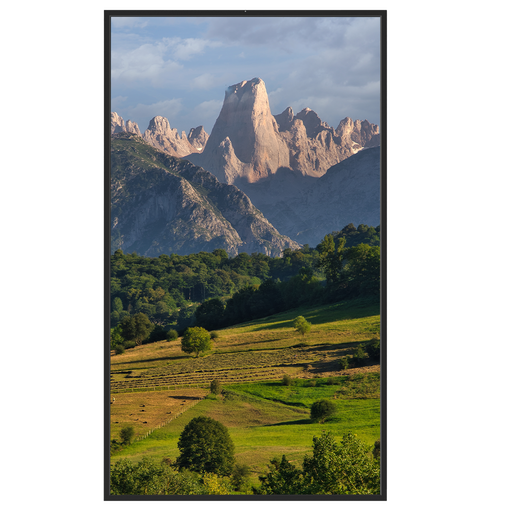 [SF-55WF35-4K] Monitor alto brillo 55" - Resolución 4K - Brillo 3500 nits - Funcionamiento 24/7 - Android 12 - Altavoces… Safire-SF-55WF35-4K