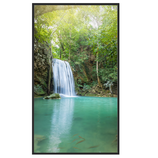 [SF-65WF35-4K] Monitor alto brillo 65" - Resolución 4K - Brillo 3500 nits - Funcionamiento 24/7 - Android 12 - Altavoces… Safire-SF-65WF35-4K